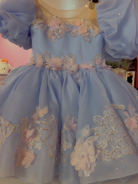 Other - Blue Floral Embroidered Puff-Sleeve Girls' Dress